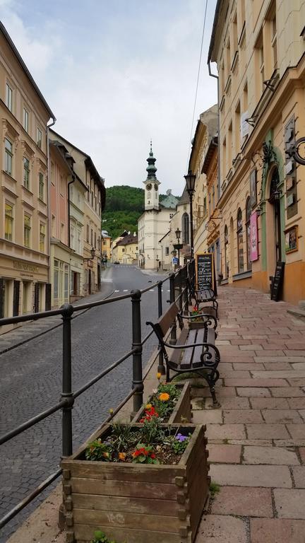 Вілла Siglisberg Банська Штявниця Номер фото
